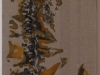 Melanie brochet, botte-2011-100x25cm