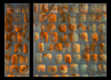 Melanie Brochet, diptyque, 2009-60x80cm