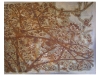 Melanie Brochet, buisson d asie, toile sur chassis,  80x100cm,  2010